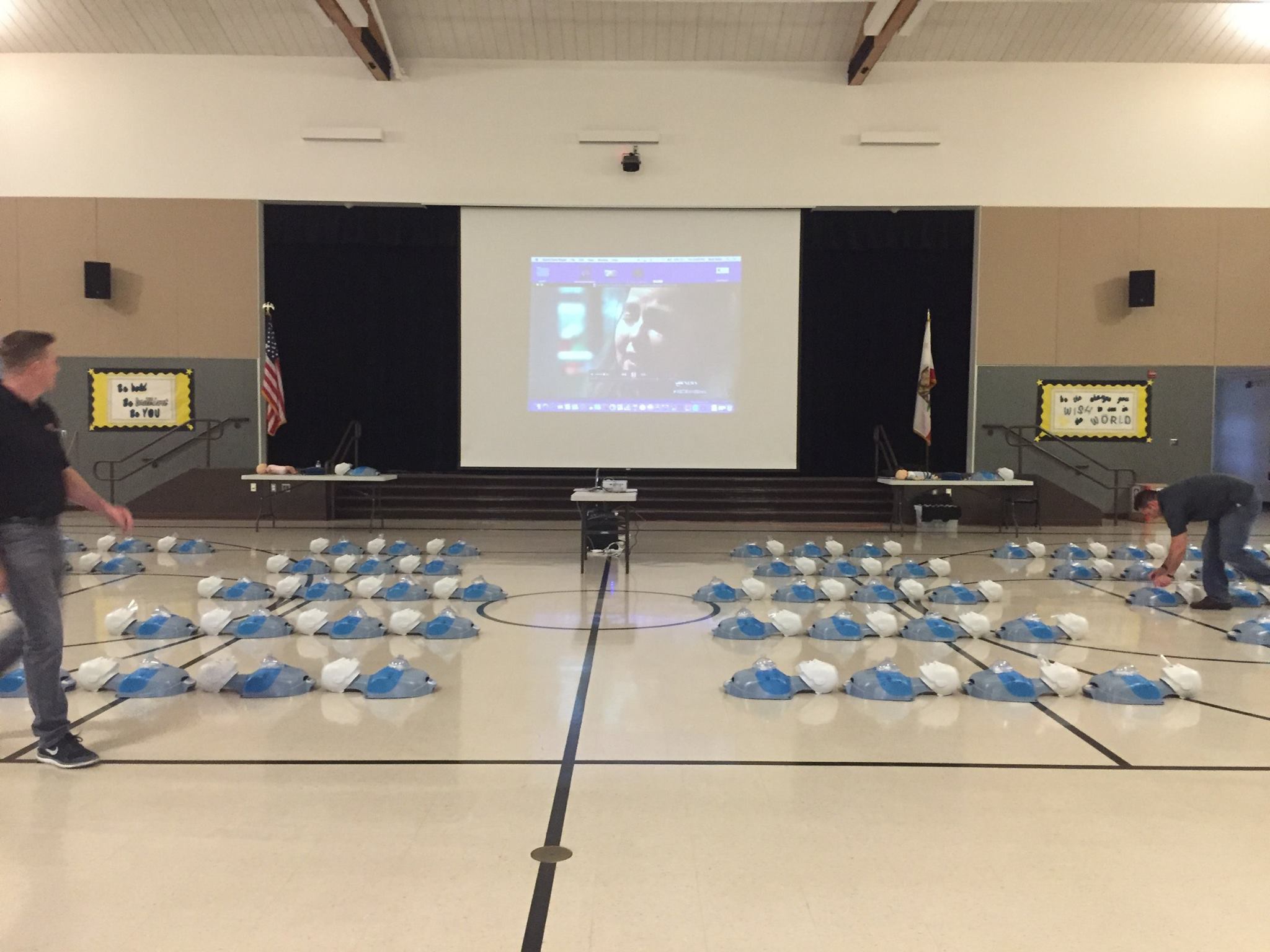 Evolving from REVIVE to Lionheart Safety